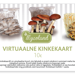 Virtuaalne KINKEKAART 10 euri