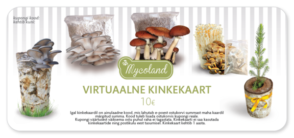 Virtuaalne KINKEKAART 10 euri