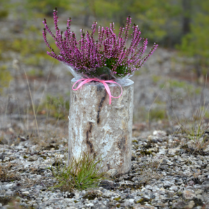 austerserviku seenepakk koos kanarbikuga