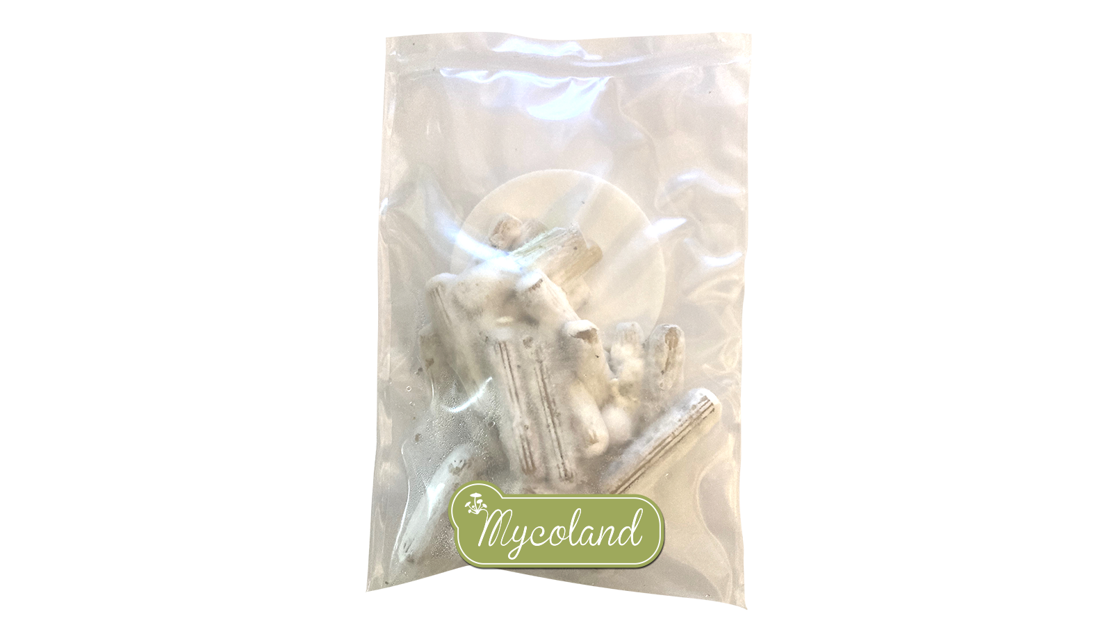 Lion's mane dowels+wax - Image 2