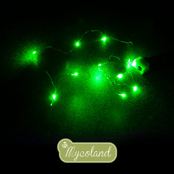MINI 10 LED valguskett roheline - Image 2
