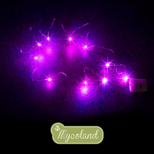 MINI 10 LED valguskett roosa - Image 2