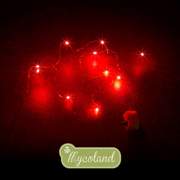 MINI 10 LED valguskett punane - Image 2