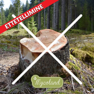 Kännulagundaja