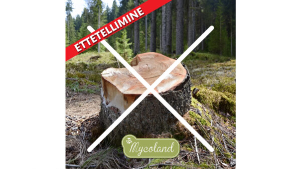 Kännulagundaja