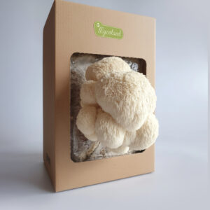 Korallnarmiku kasvatuskomplekt